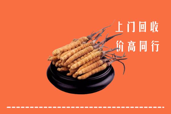 高价求购：宜春回收散虫草