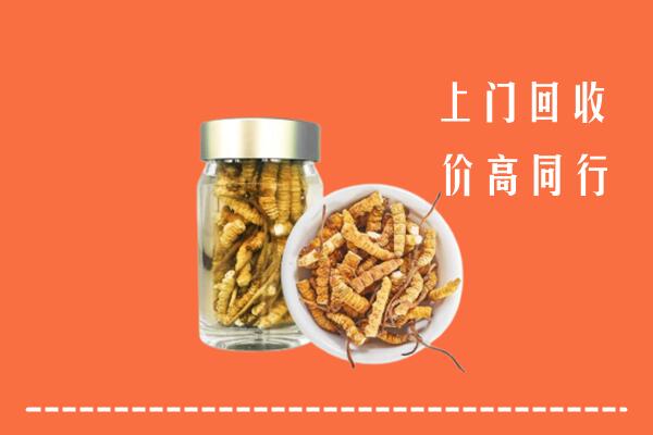宜春回收冬虫夏草